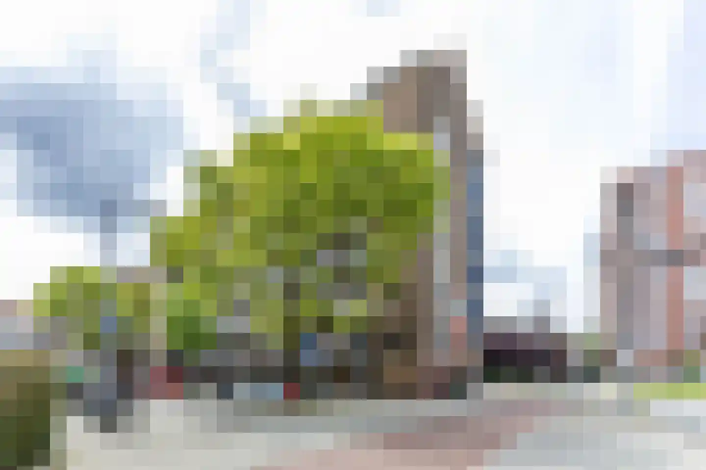 Leopoldstraat 7 A Rotterdam thumbnail 19