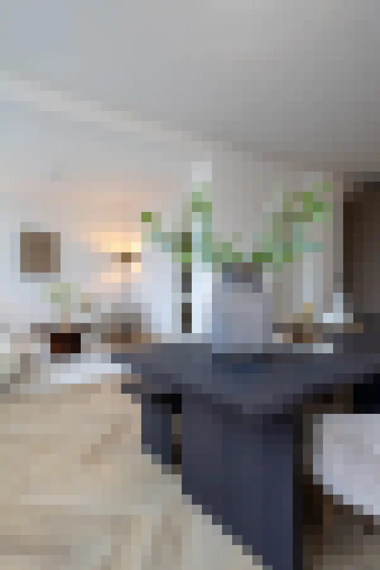 Leopoldstraat 7 E Rotterdam thumbnail 29