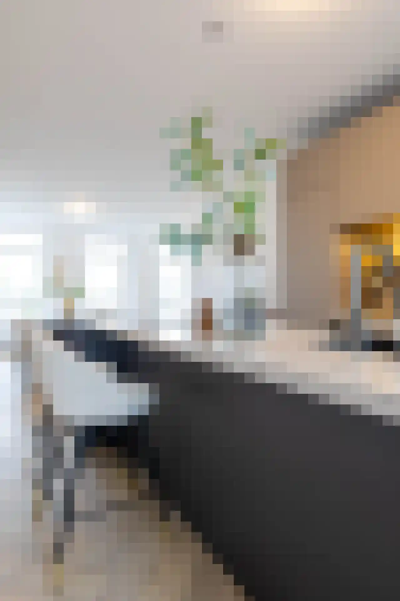 Leopoldstraat 7 E Rotterdam thumbnail 6