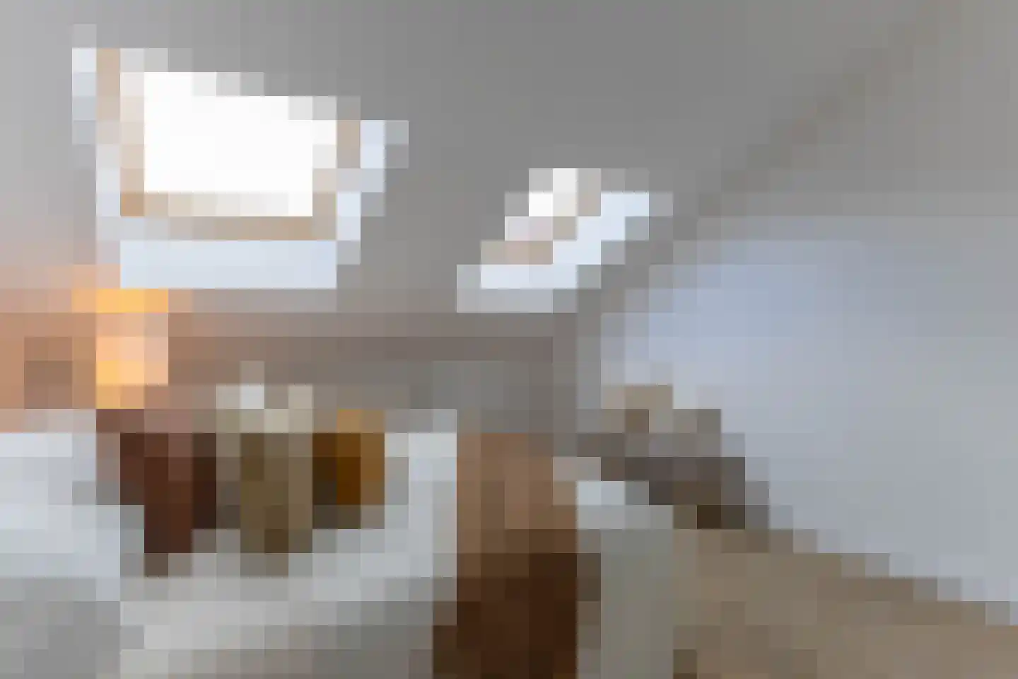 Leopoldstraat 7 E Rotterdam thumbnail 65