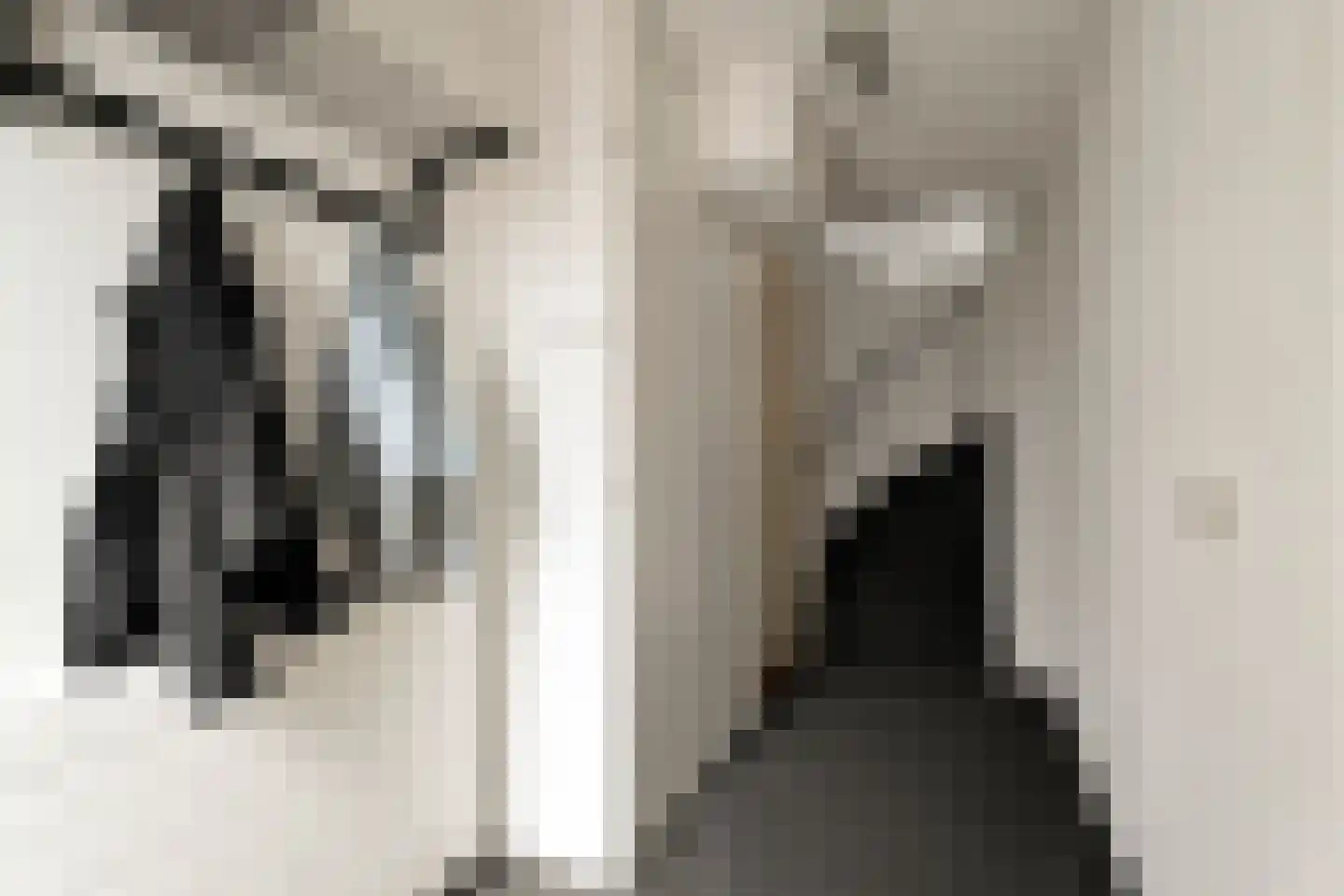 Leopoldstraat 73 Alkmaar thumbnail 10