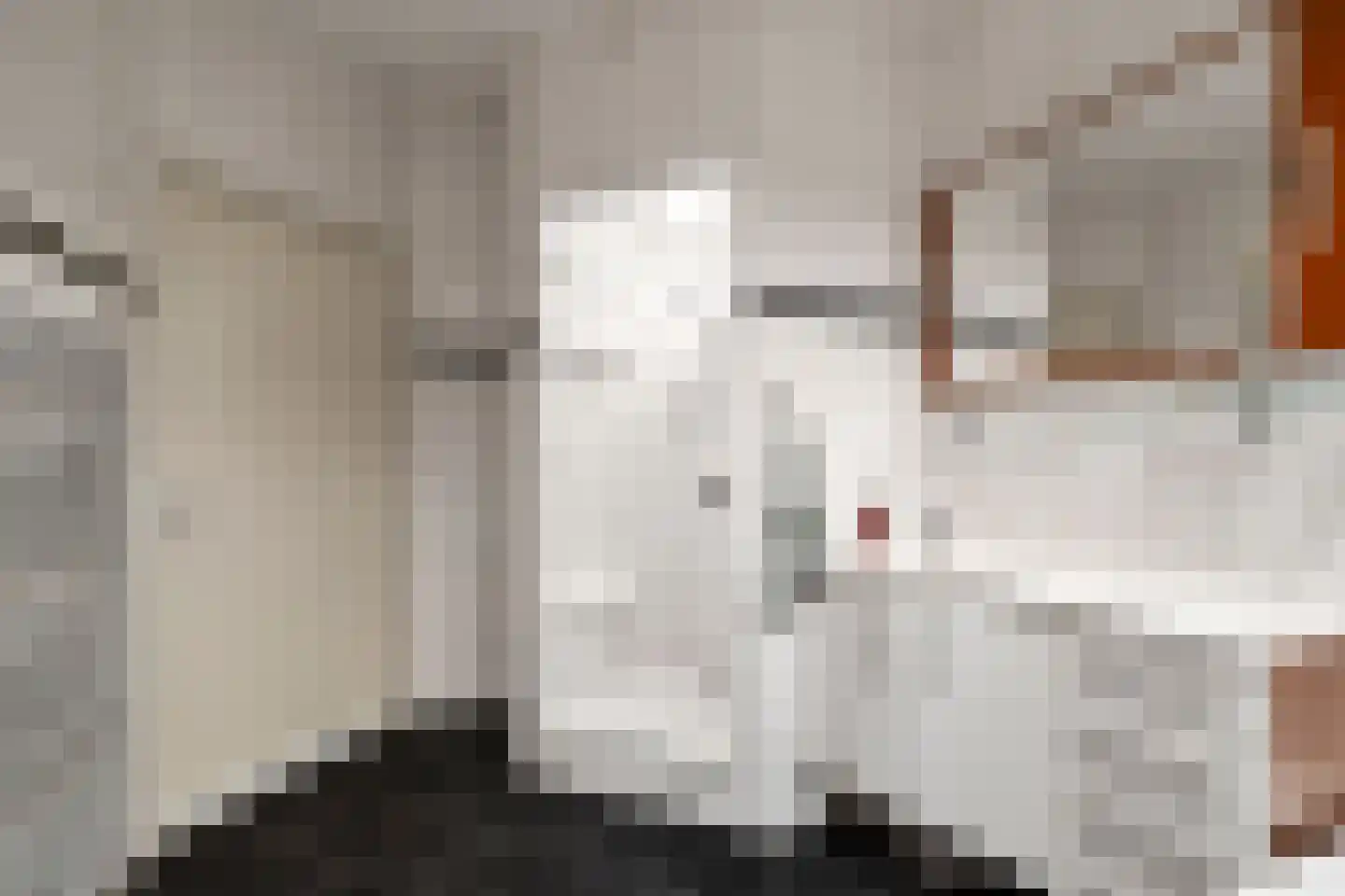 Leopoldstraat 73 Alkmaar thumbnail 33