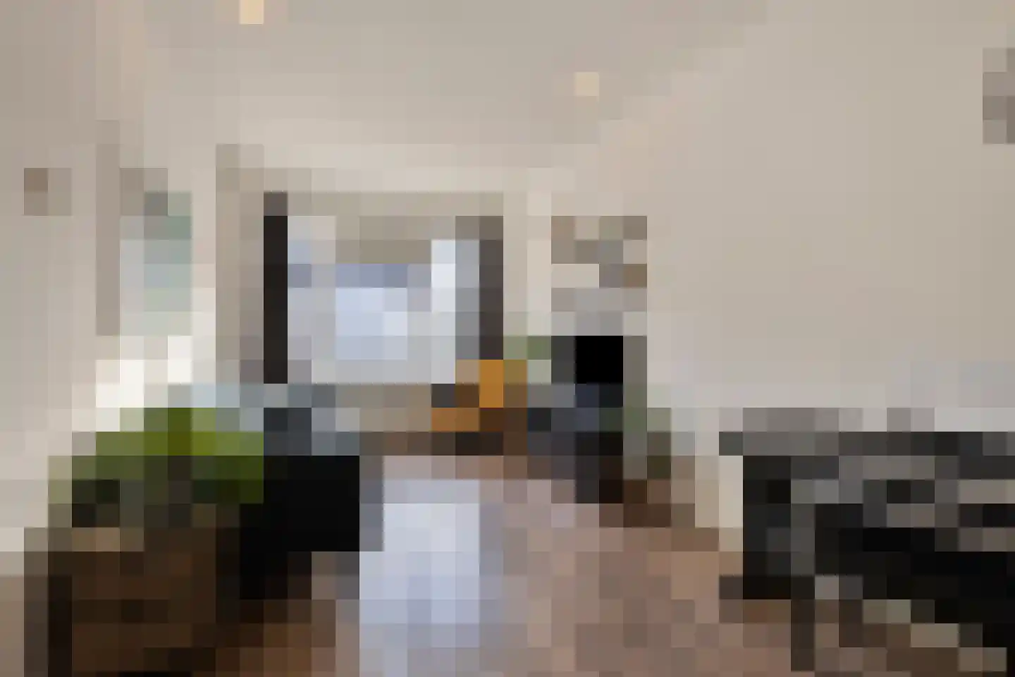 Leostraat 106 Eindhoven thumbnail 10