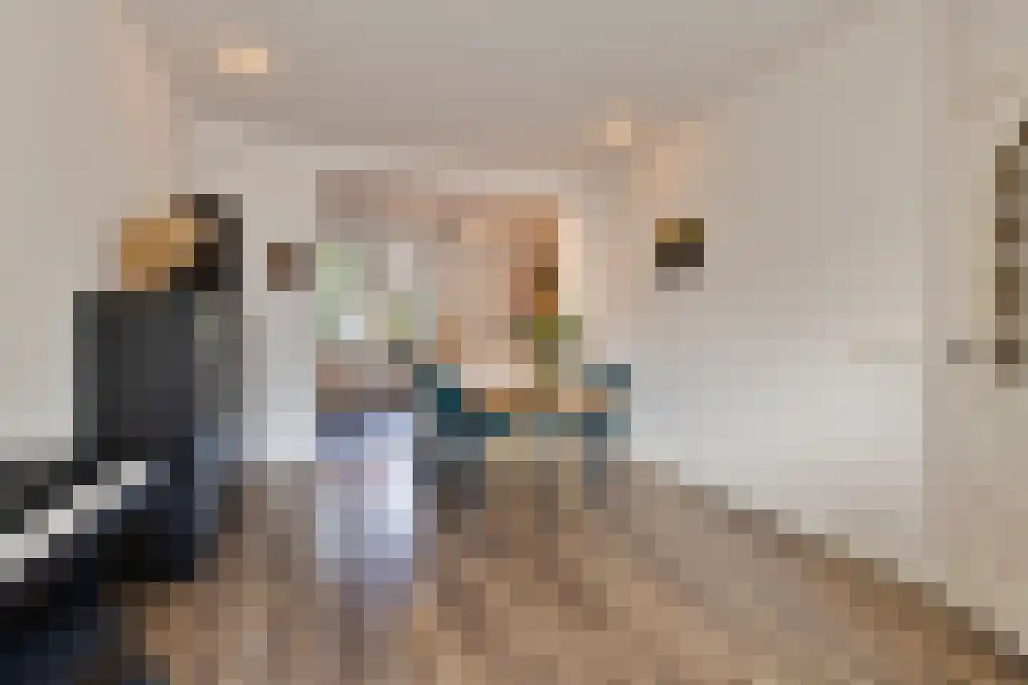 Leostraat 106 Eindhoven thumbnail 12