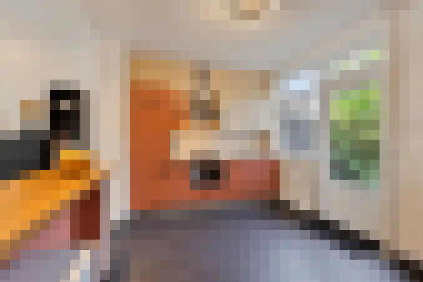 Leostraat 106 Eindhoven thumbnail 13