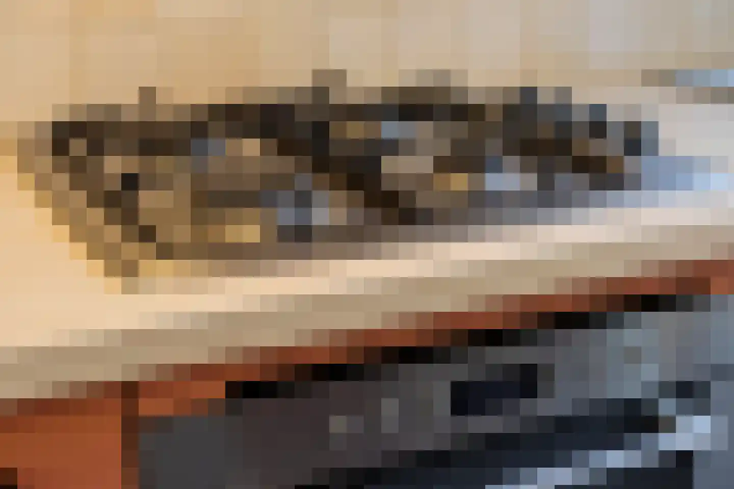 Leostraat 106 Eindhoven thumbnail 15
