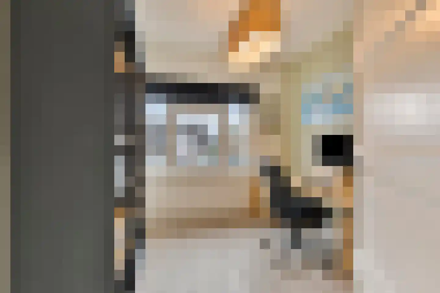 Leostraat 106 Eindhoven thumbnail 25