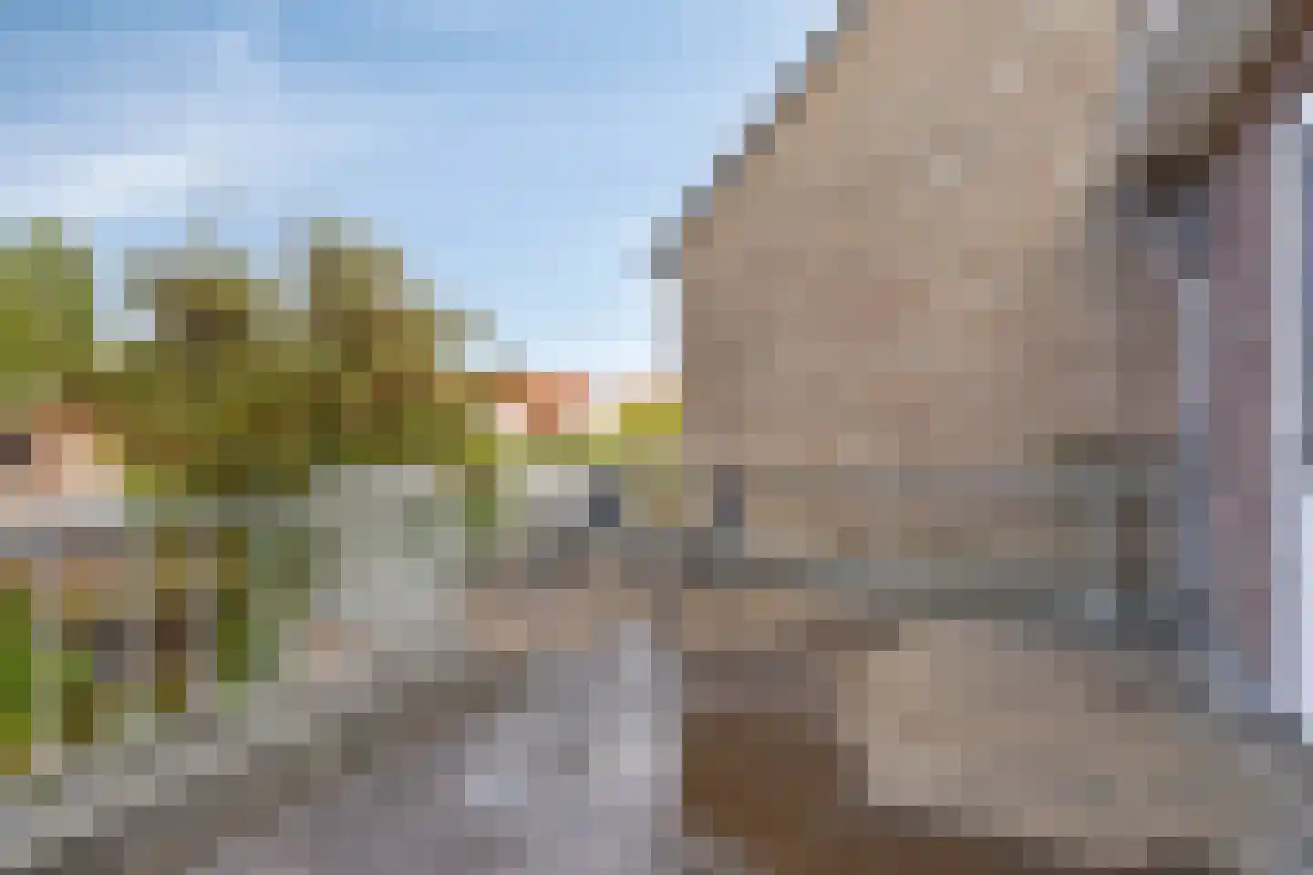 Leostraat 106 Eindhoven thumbnail 34