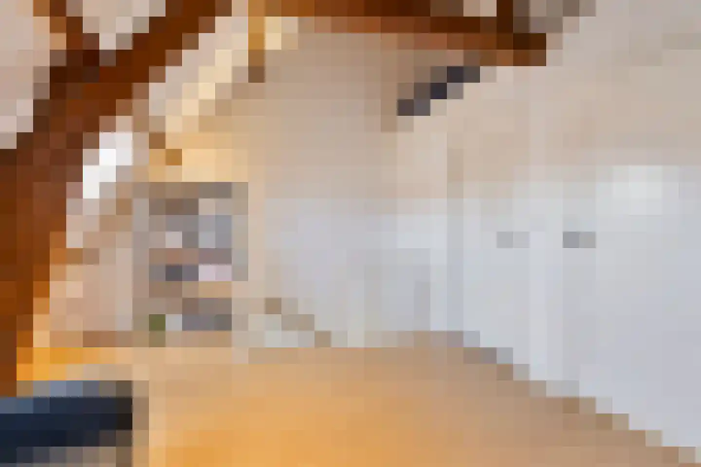Leostraat 106 Eindhoven thumbnail 35