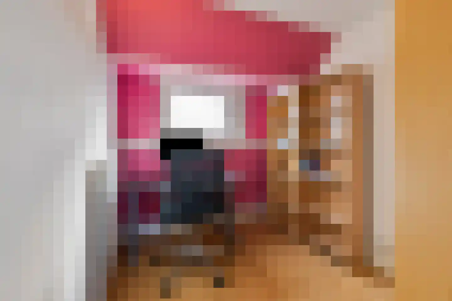 Leostraat 106 Eindhoven thumbnail 37