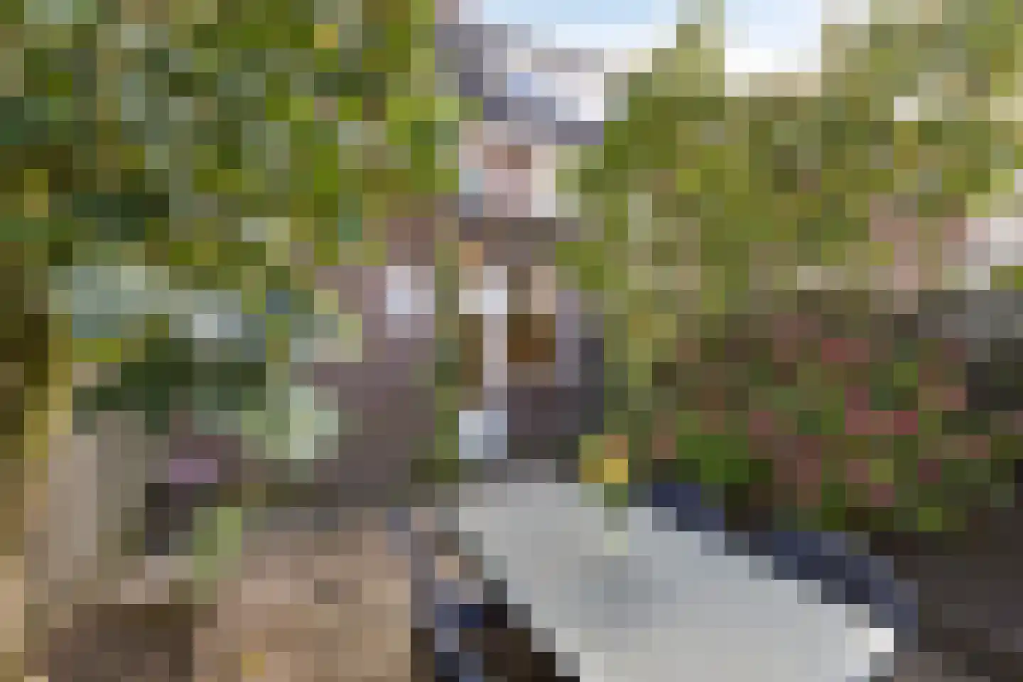 Leostraat 106 Eindhoven thumbnail 41