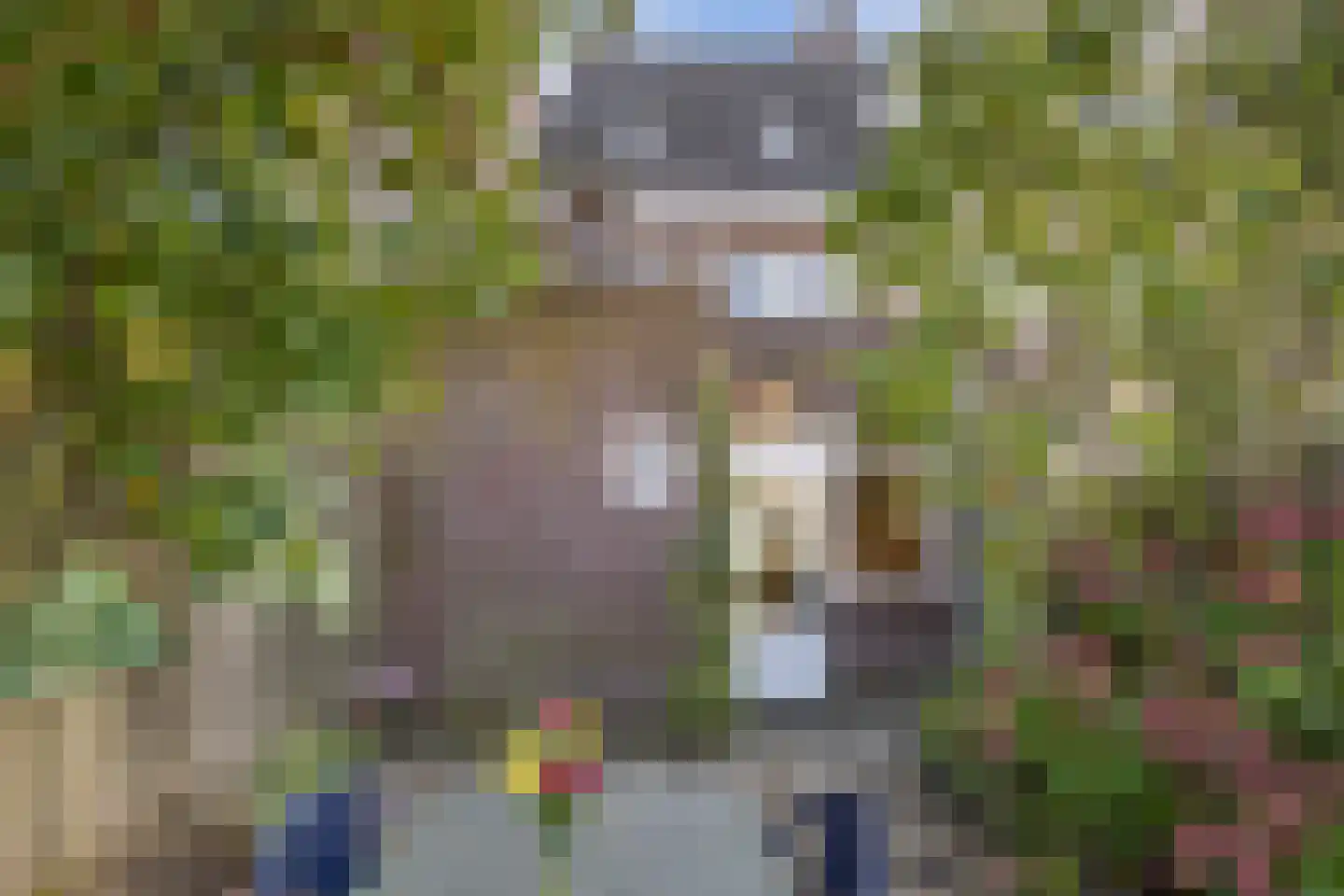 Leostraat 106 Eindhoven thumbnail 42