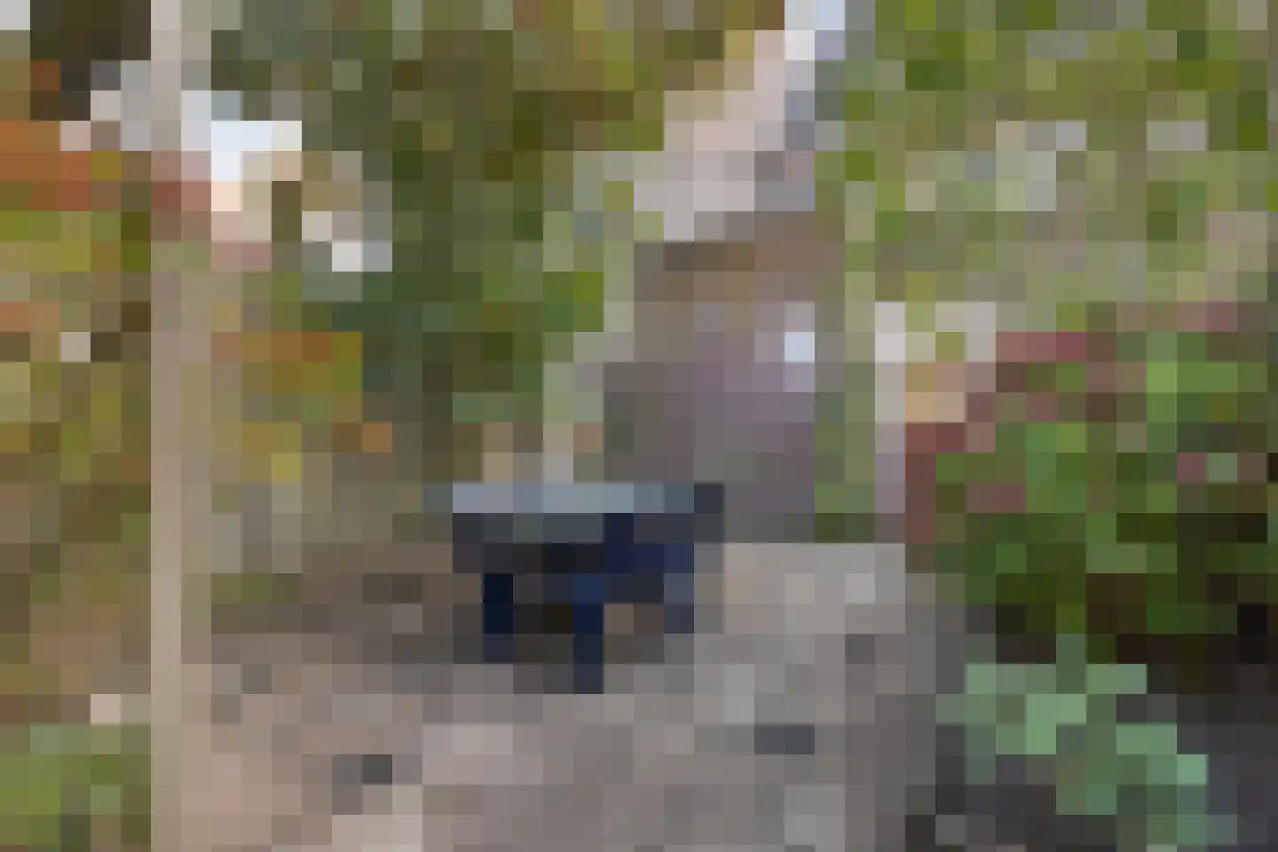 Leostraat 106 Eindhoven thumbnail 5
