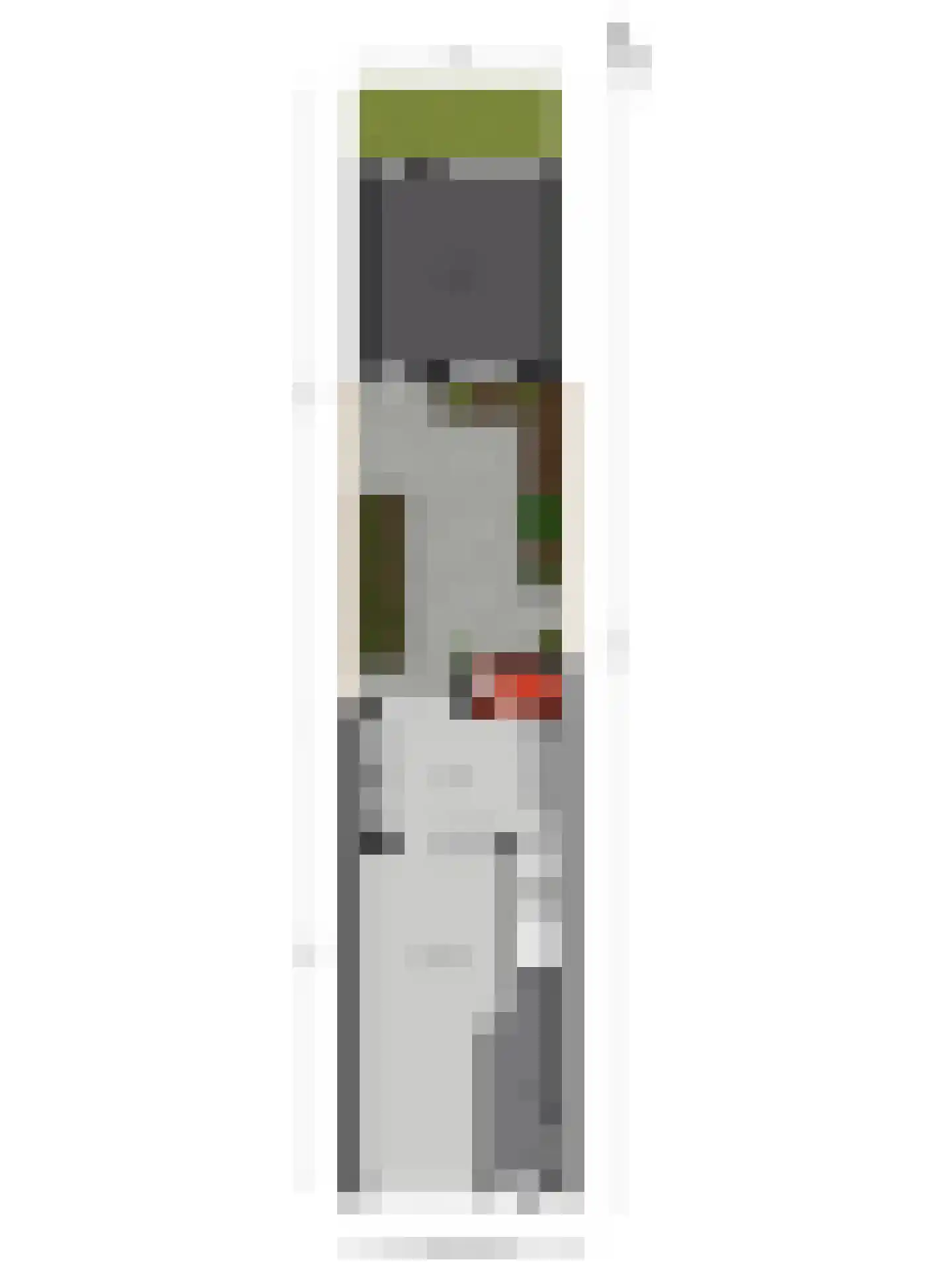 Leostraat 106 Eindhoven thumbnail 54