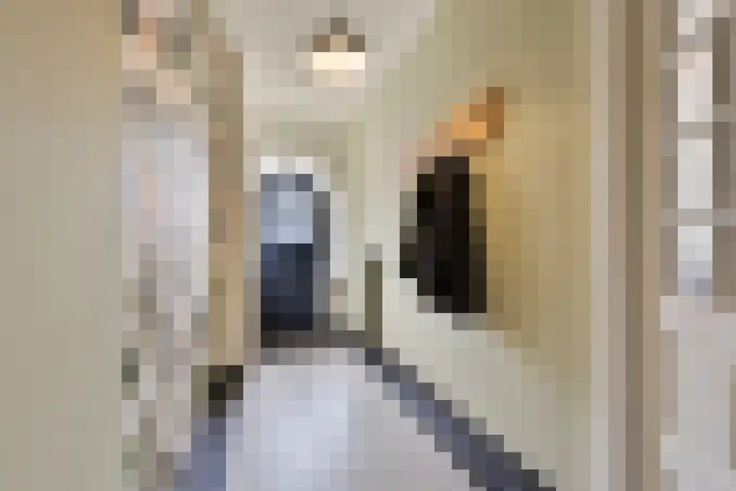Leostraat 106 Eindhoven thumbnail 6