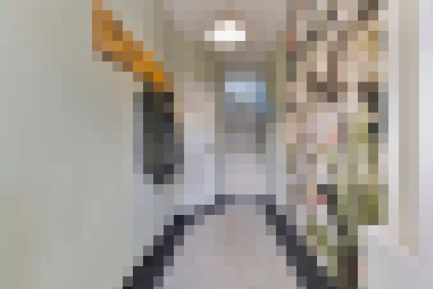 Leostraat 106 Eindhoven thumbnail 7