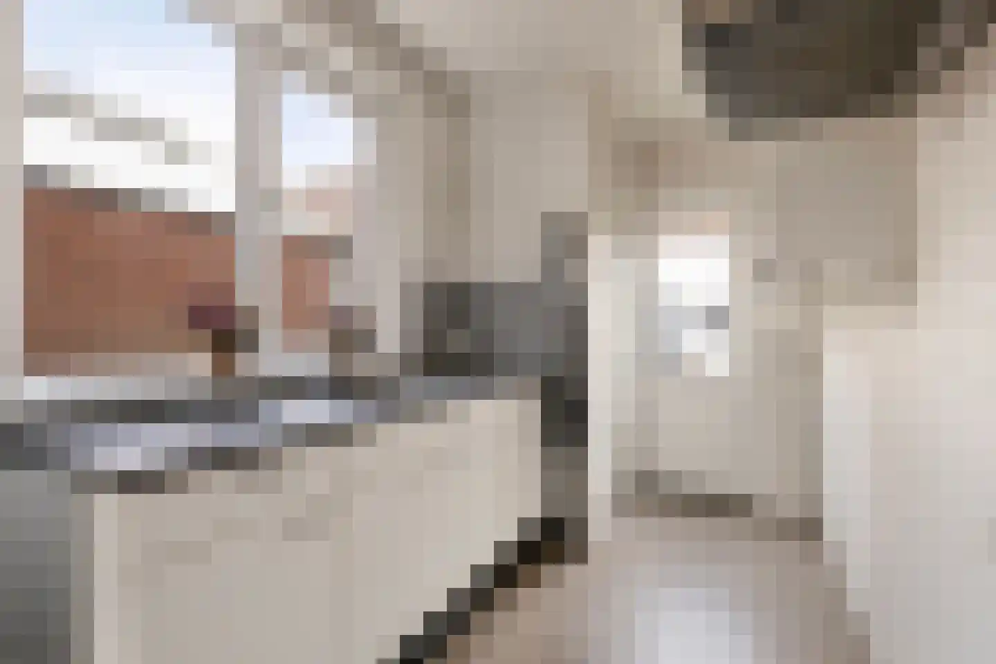 Leostraat 110 Eindhoven thumbnail 17