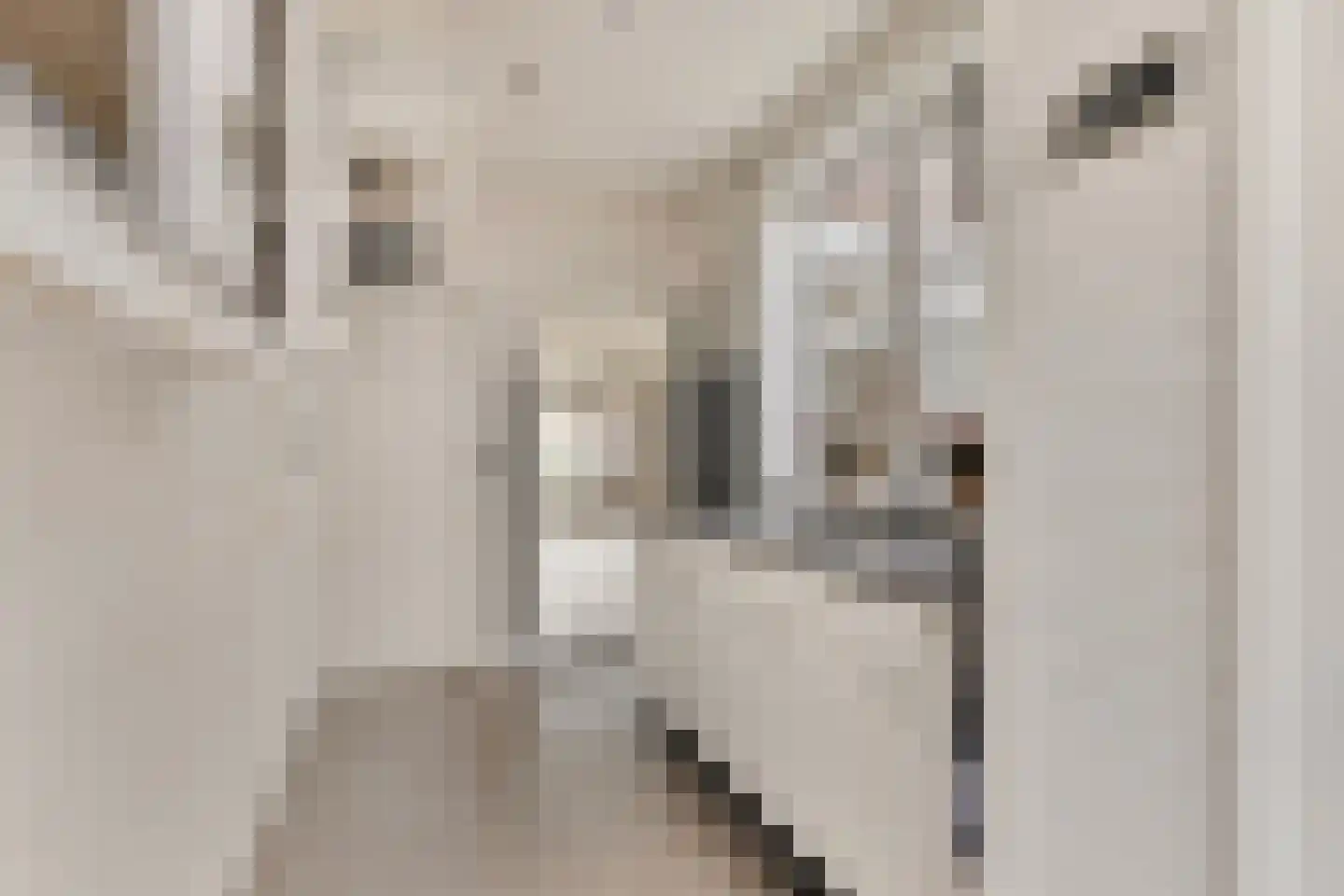 Leostraat 110 Eindhoven thumbnail 18