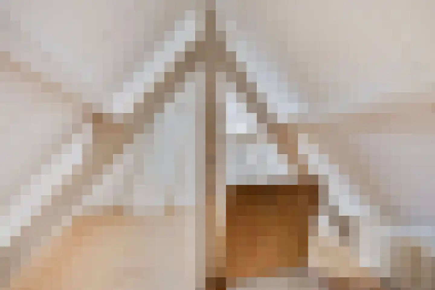 Leostraat 110 Eindhoven thumbnail 28