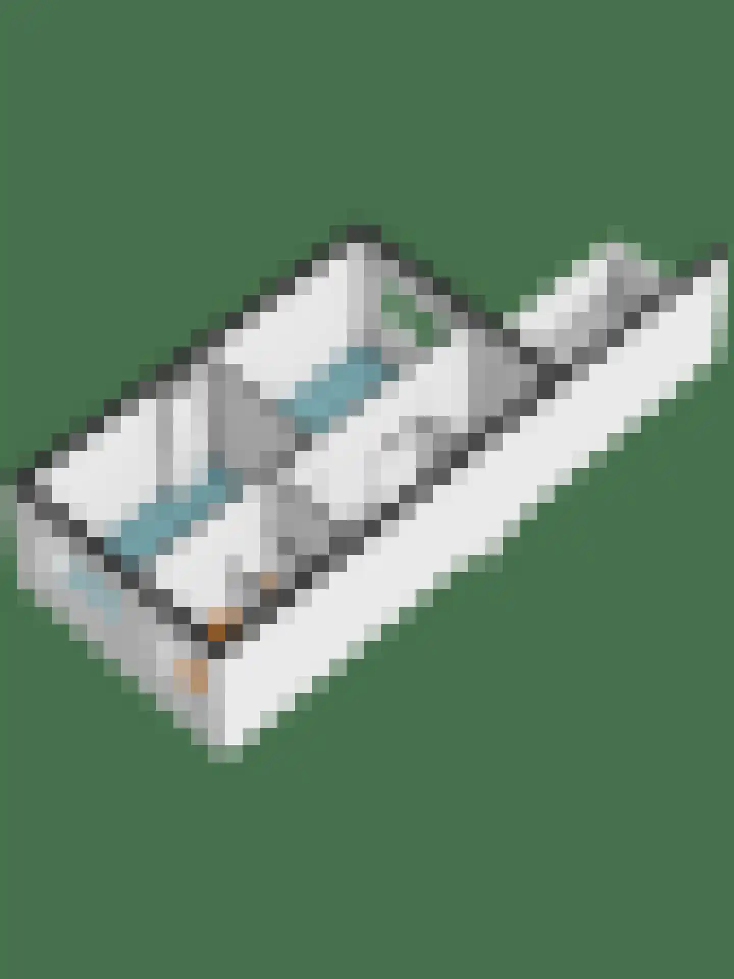 Leostraat 110 Eindhoven thumbnail 42