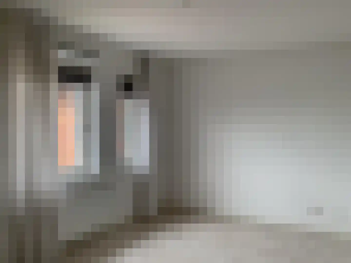 Leostraat 29 Eindhoven thumbnail 10
