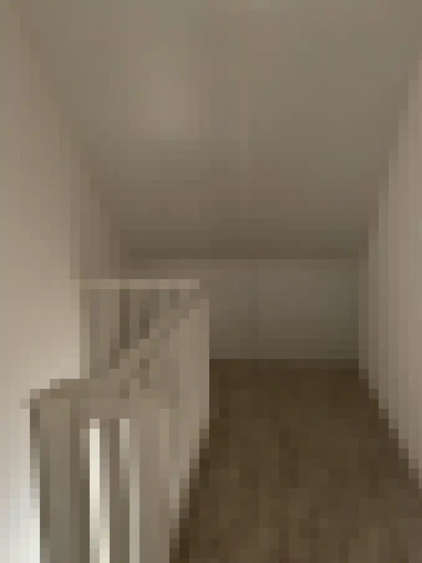 Leostraat 29 Eindhoven thumbnail 17