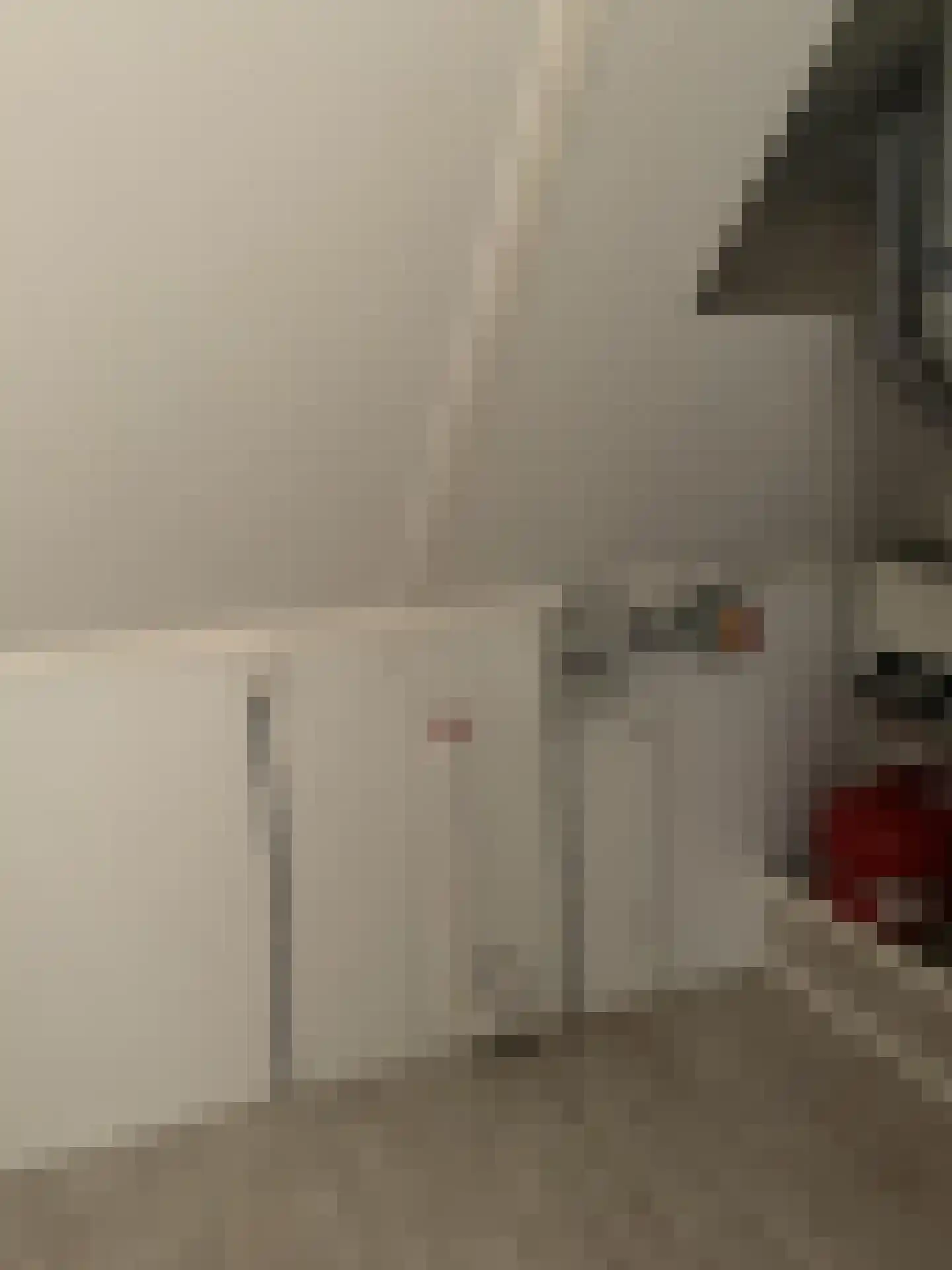 Leostraat 29 Eindhoven thumbnail 19