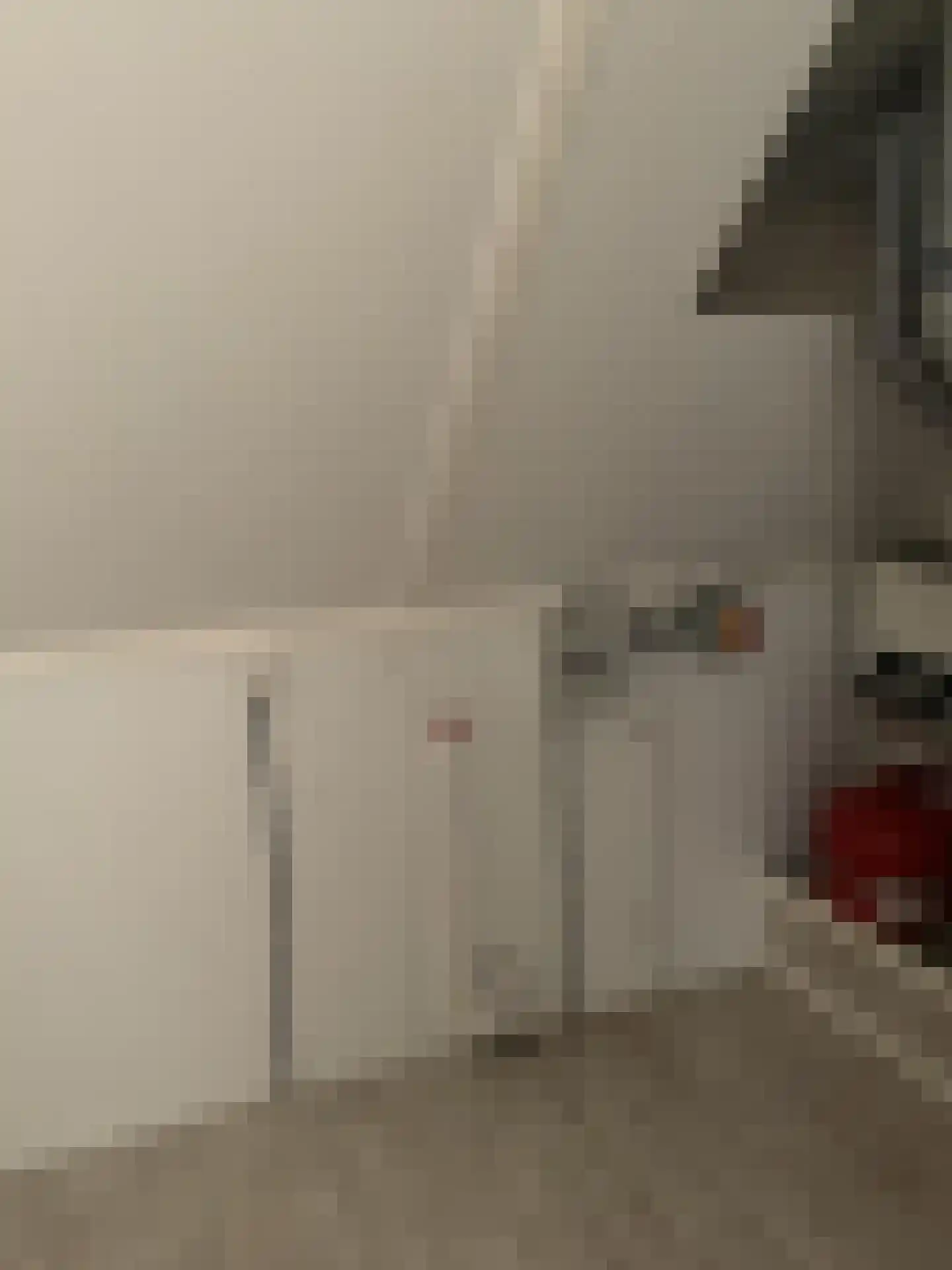 Leostraat 29 Eindhoven thumbnail 8