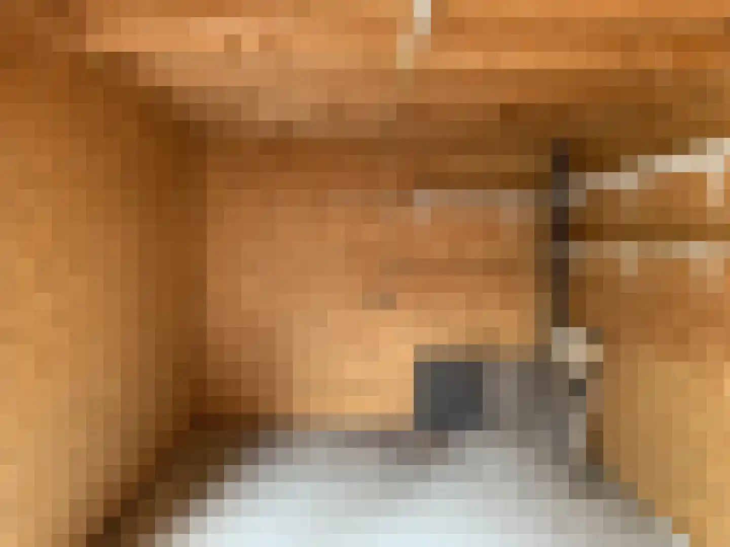 Leostraat 29 Eindhoven thumbnail 13