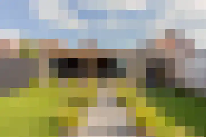Leostraat 4 Wijchen thumbnail 12