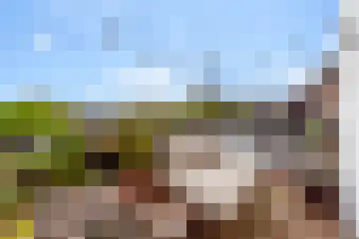 Leostraat 4 Wijchen thumbnail 31