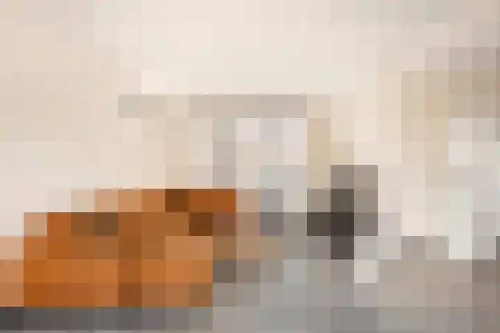 Leostraat 4 Wijchen thumbnail 4
