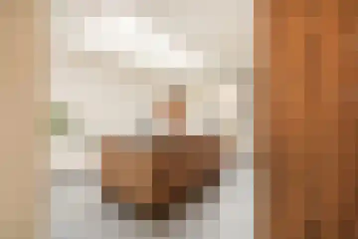 Leostraat 4 Wijchen thumbnail 6