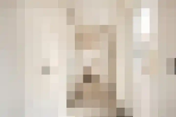 Leostraat 4 Wijchen thumbnail 9