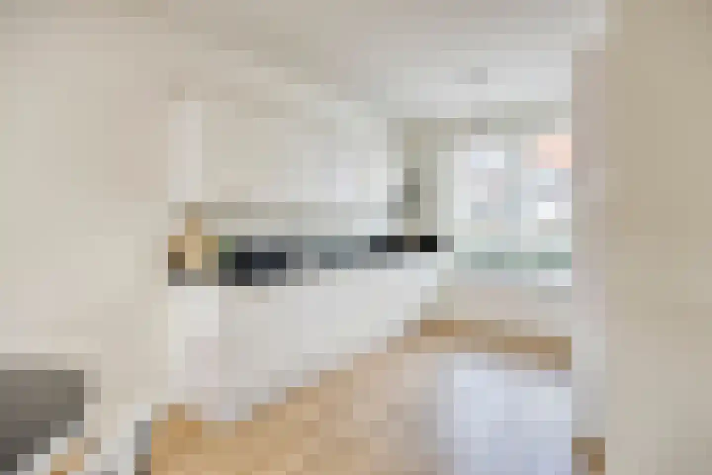Leostraat 47 Eindhoven thumbnail 13