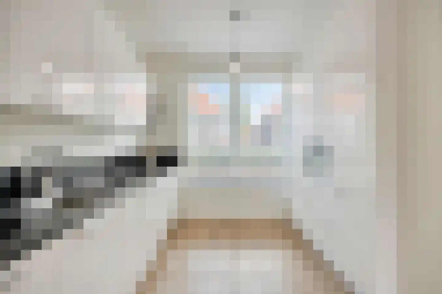 Leostraat 47 Eindhoven thumbnail 14