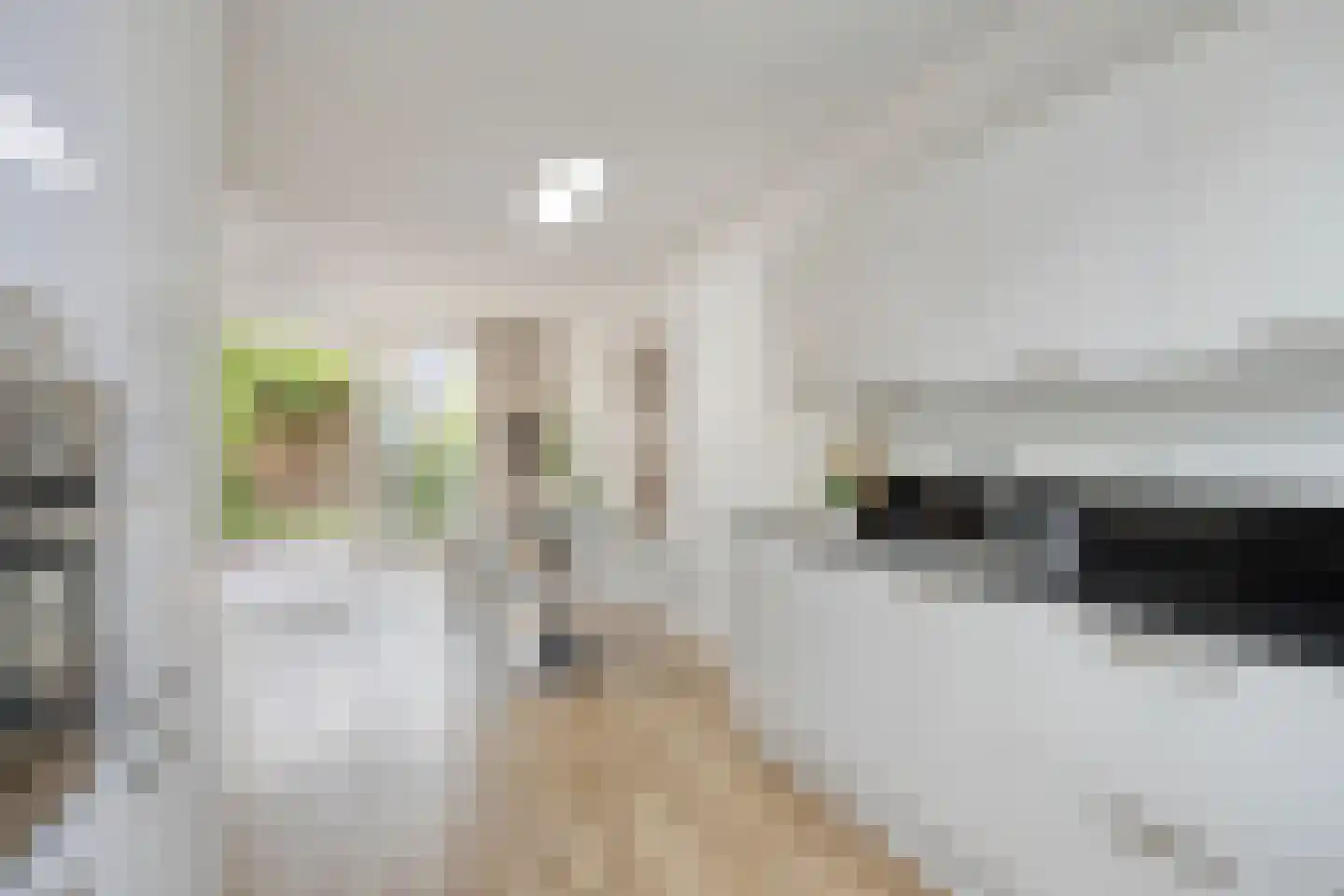 Leostraat 47 Eindhoven thumbnail 15