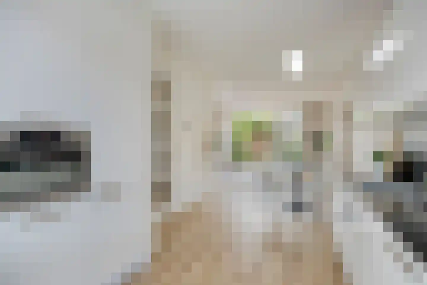 Leostraat 47 Eindhoven thumbnail 17