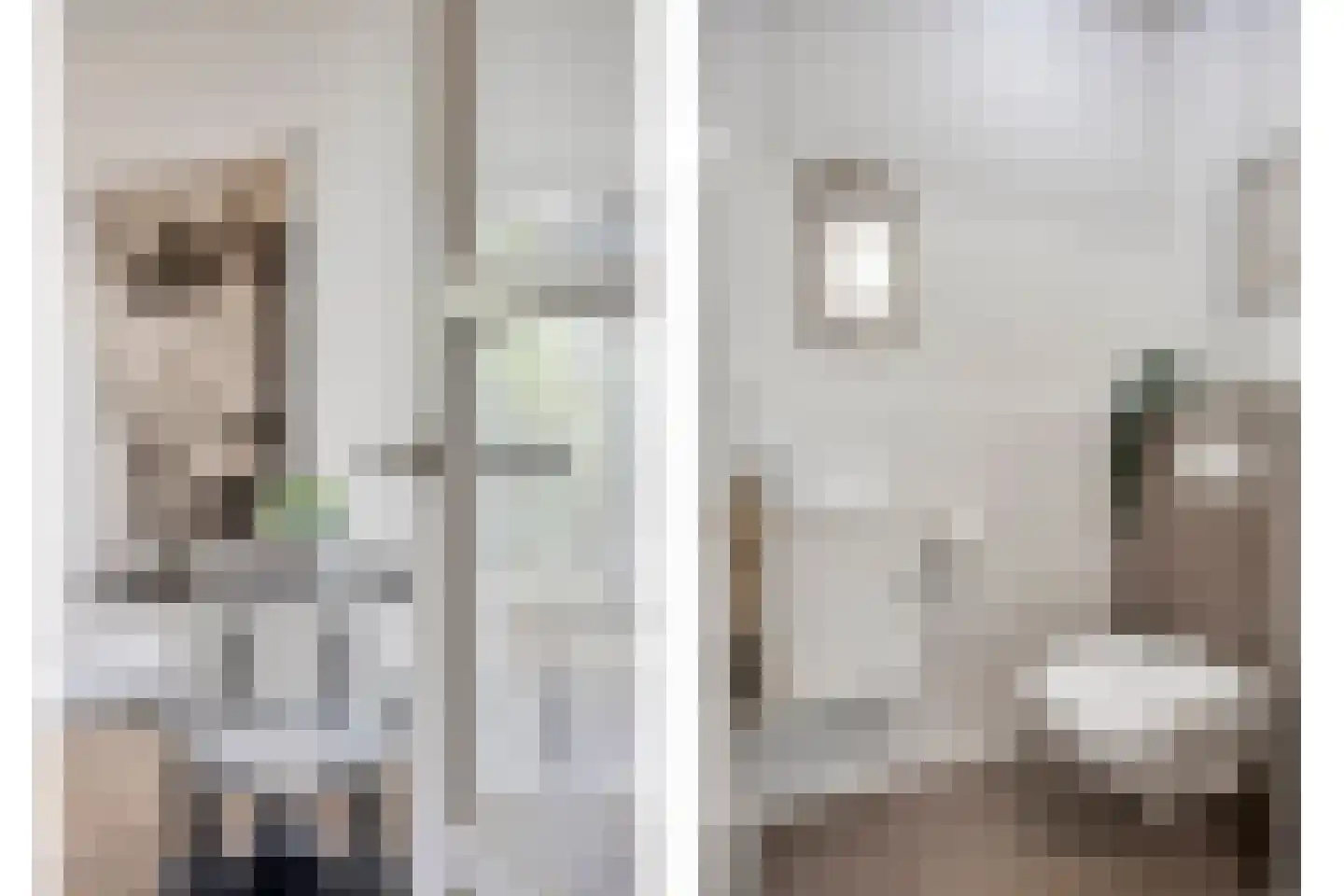 Leostraat 47 Eindhoven thumbnail 18