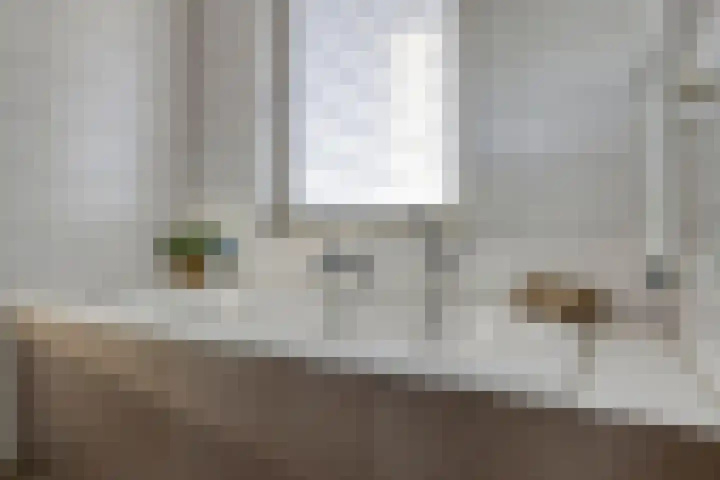 Leostraat 47 Eindhoven thumbnail 20
