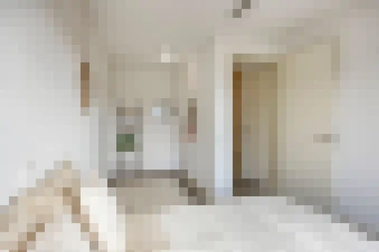 Leostraat 47 Eindhoven thumbnail 21