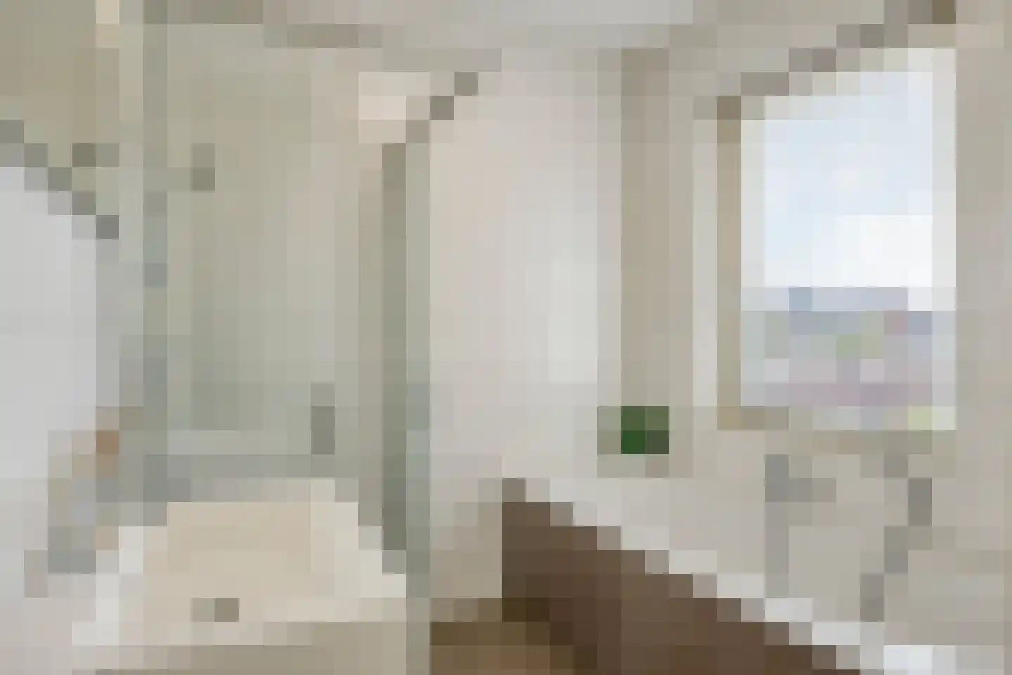 Leostraat 47 Eindhoven thumbnail 22
