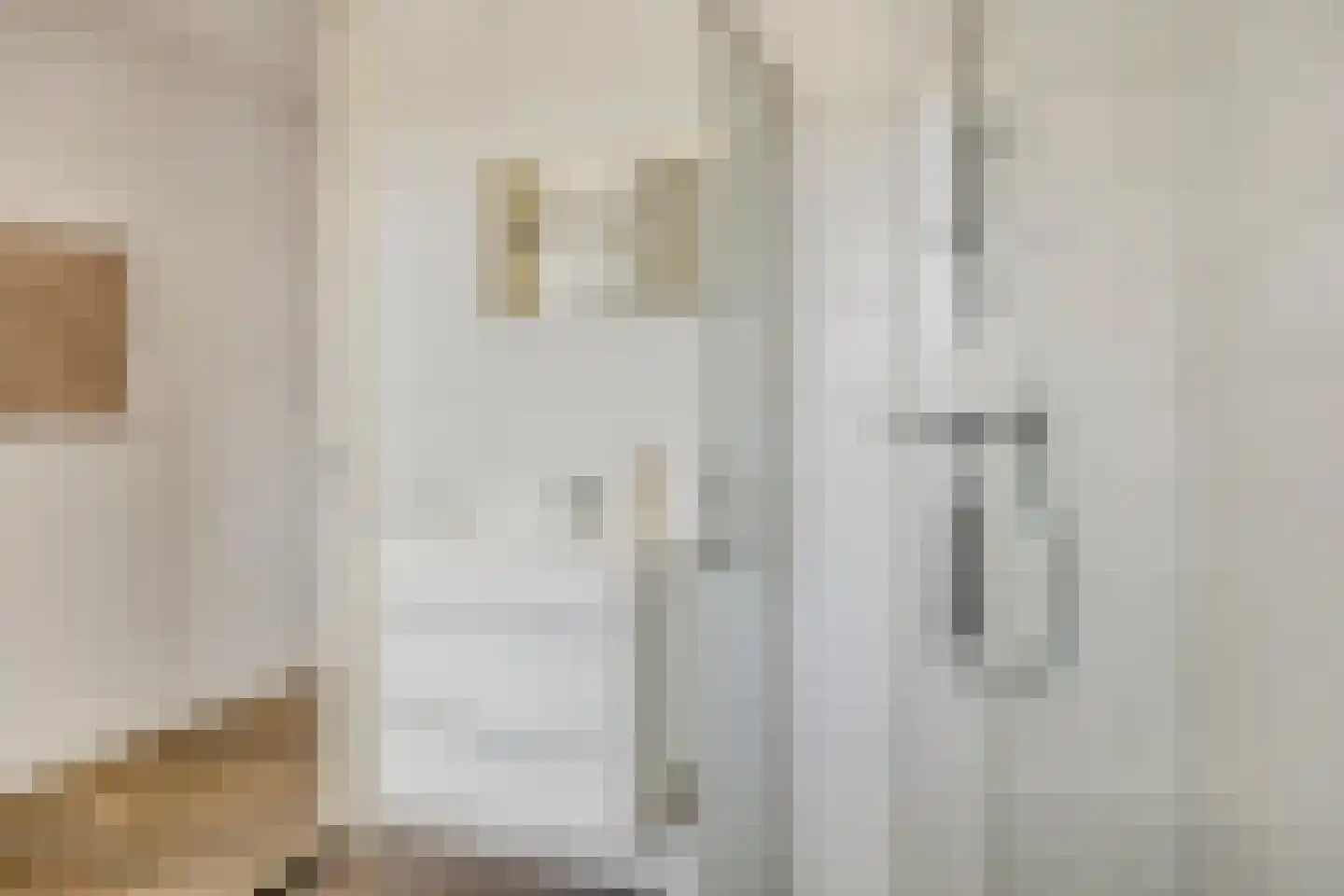 Leostraat 47 Eindhoven thumbnail 23
