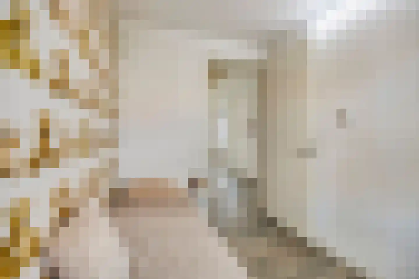 Leostraat 47 Eindhoven thumbnail 28