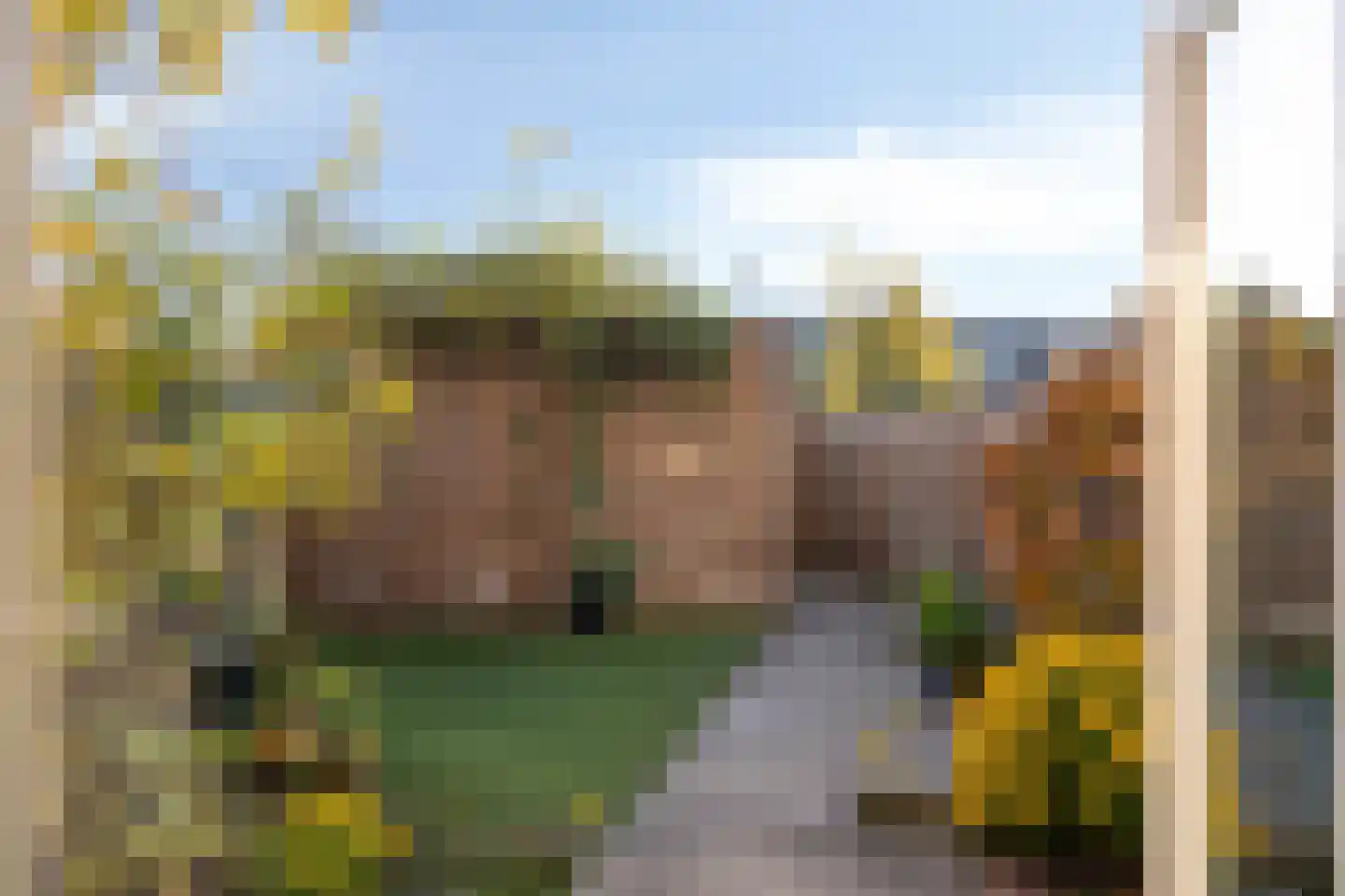 Leostraat 47 Eindhoven thumbnail 29