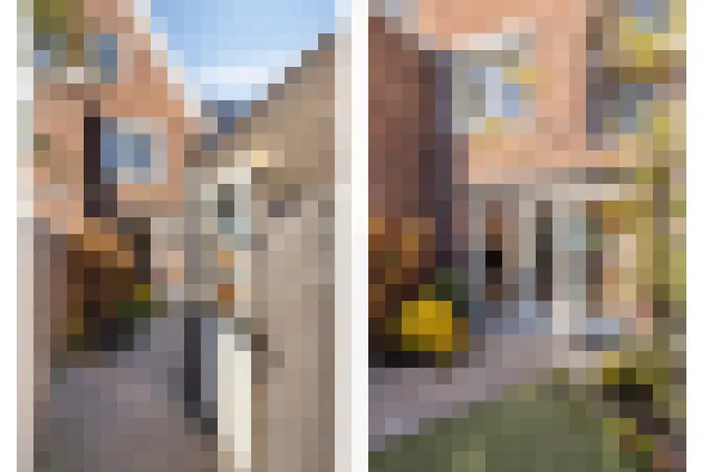 Leostraat 47 Eindhoven thumbnail 31