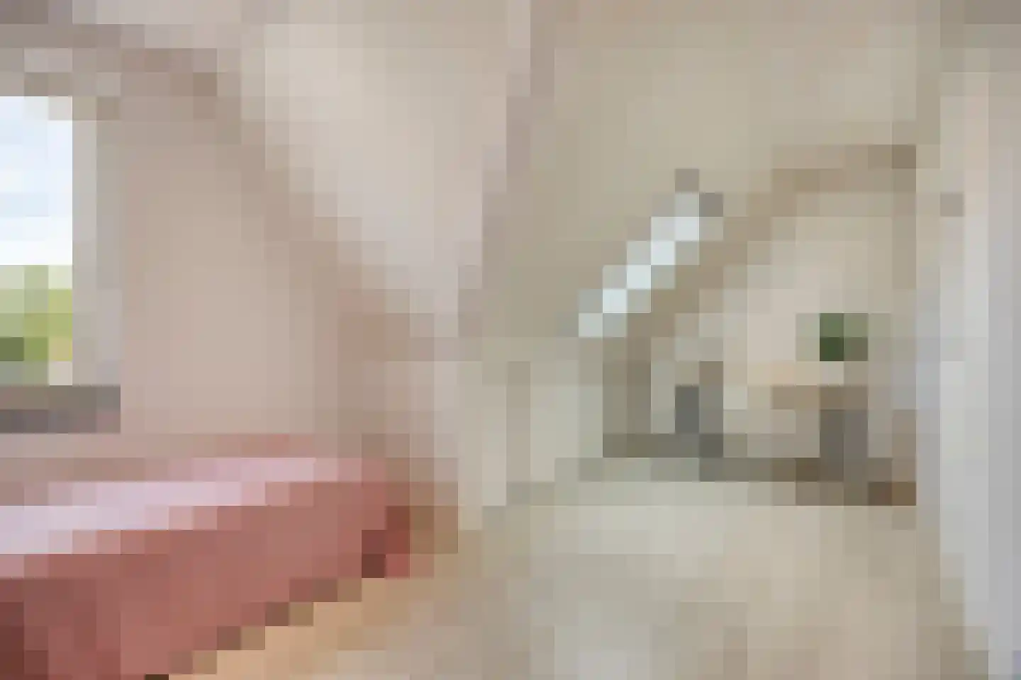 Leostraat 47 Eindhoven thumbnail 31