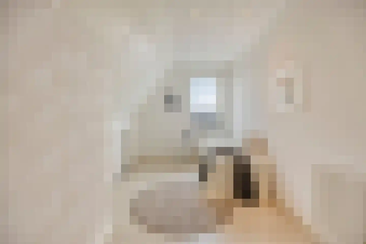Leostraat 47 Eindhoven thumbnail 33