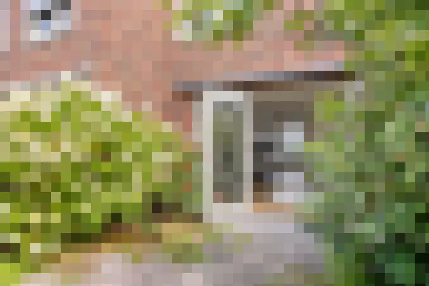 Leostraat 47 Eindhoven thumbnail 36