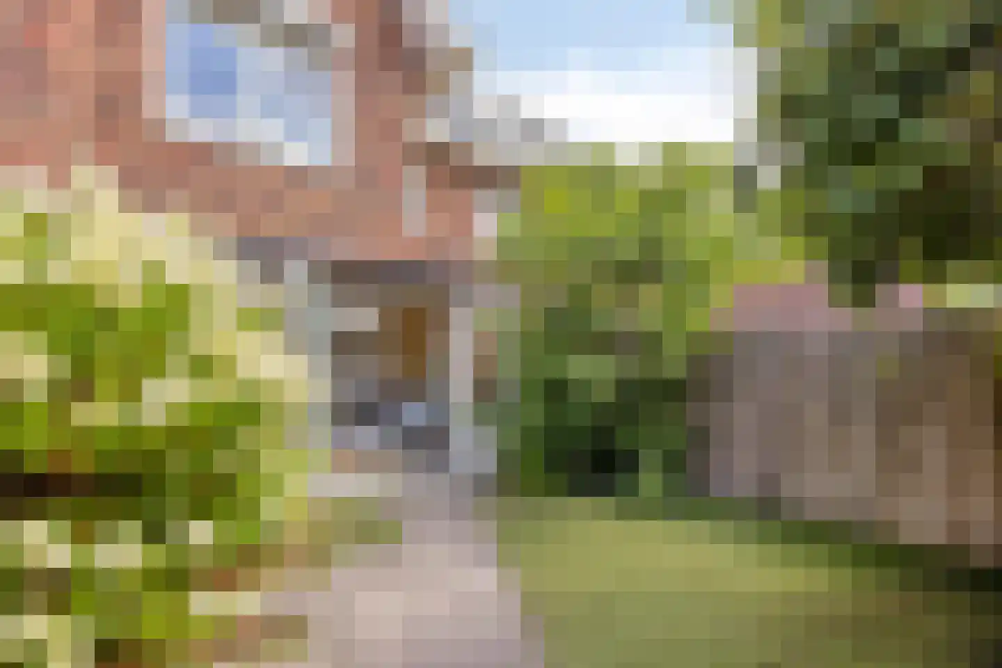 Leostraat 47 Eindhoven thumbnail 37